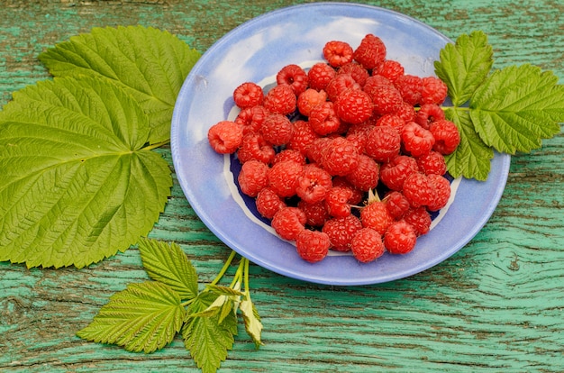 Raspberries on a blue plate 