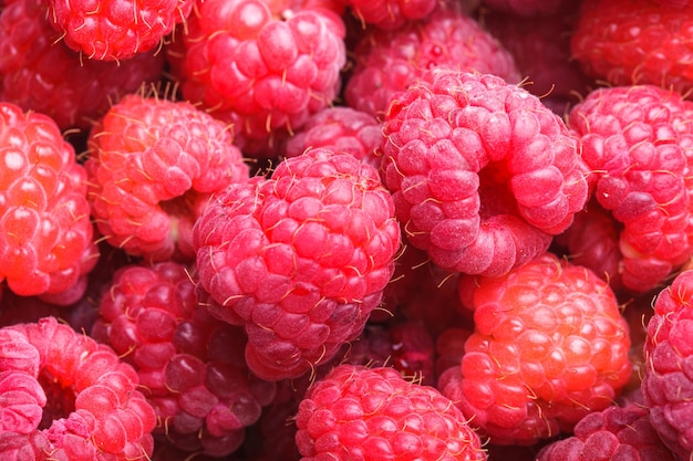 The raspberries close up as a background