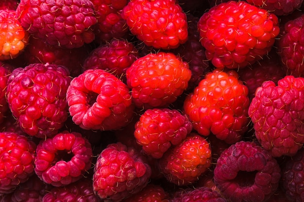 The raspberries close up as a background