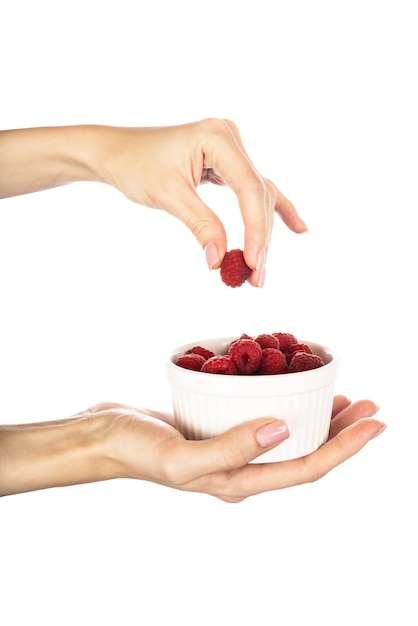 Raspberries in hands isolated on white background