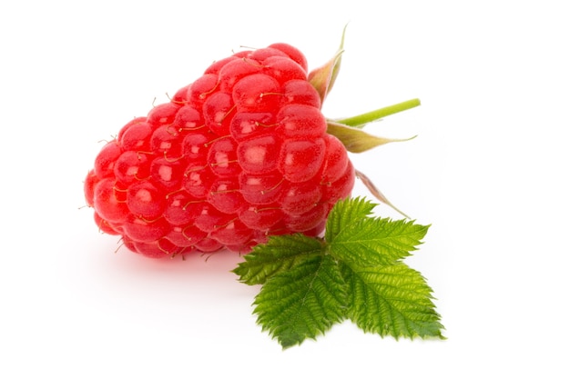 Raspberries isolated on white .