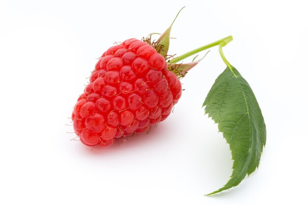 Raspberries isolated on white.