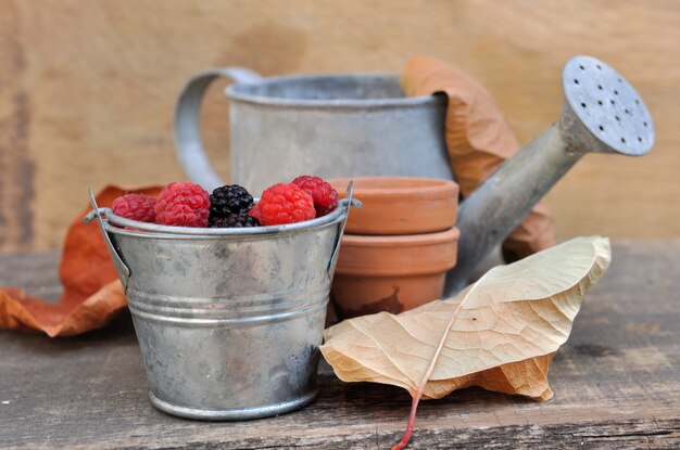 Raspberries in metallic bucket and watering can 