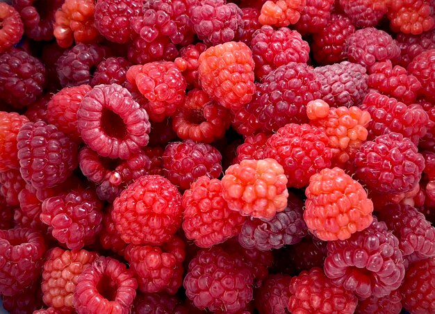 Foto raspberries vol frame