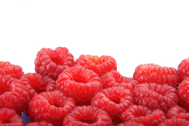 Raspberries on white background