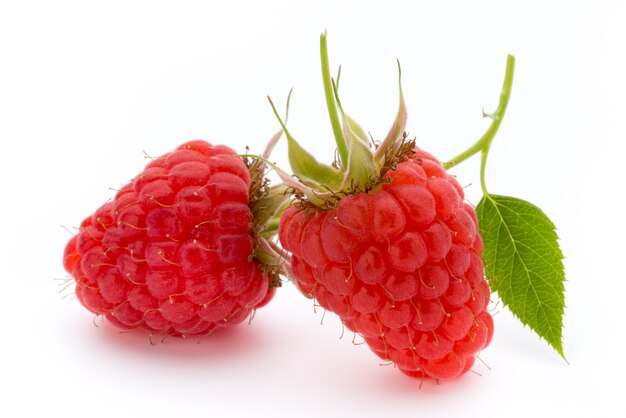 Raspberries  on white isolated