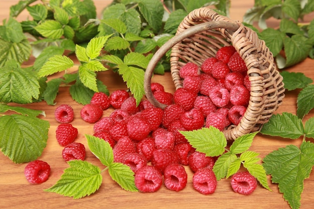 Raspberries