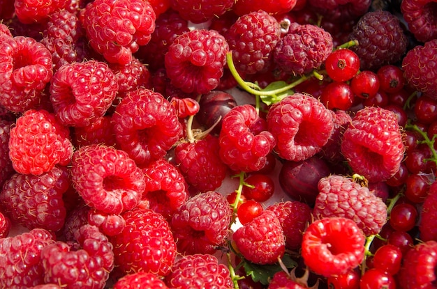 Raspberry background