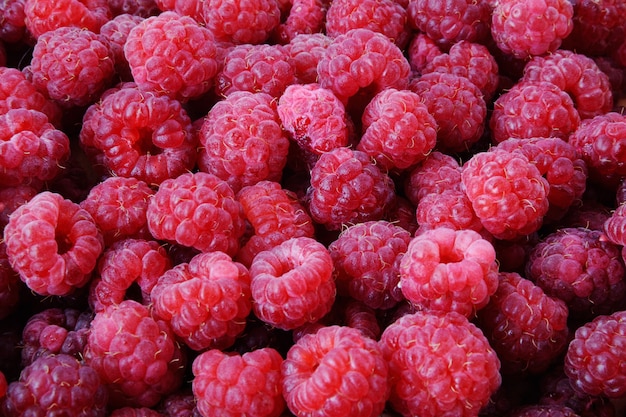 Raspberry background