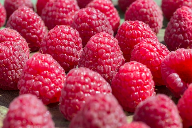 Raspberry berries on a green background. Close up