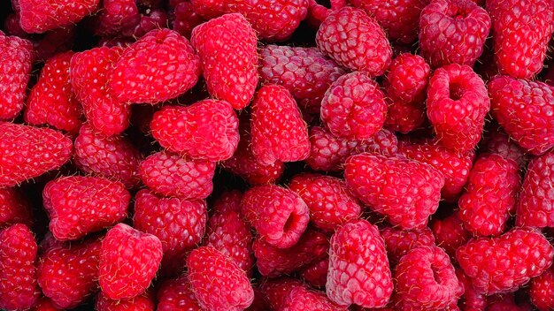 Raspberry in black container isolated on white background.