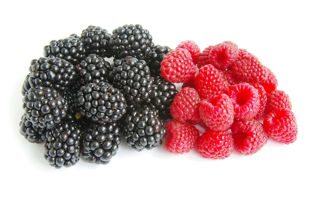 Raspberry and blackberry isolated