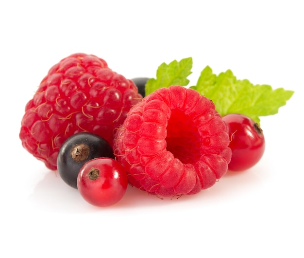 Raspberry and  currants isolated on white background