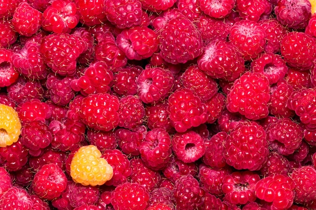 Raspberry. Fresh organic berries macro. Fruit background.