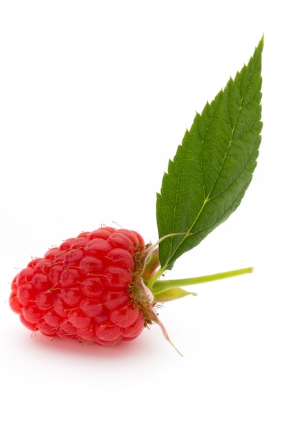 Photo raspberry fruit and leaf isolated