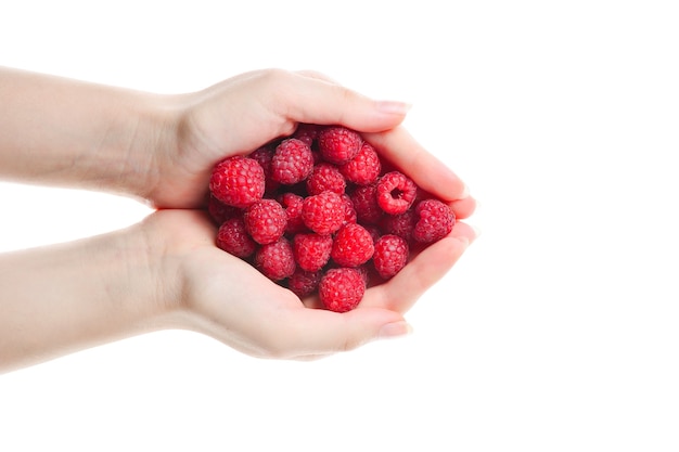 Raspberry kept in hands isolated on white background.