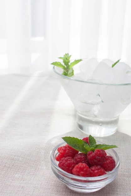 Raspberry and mint