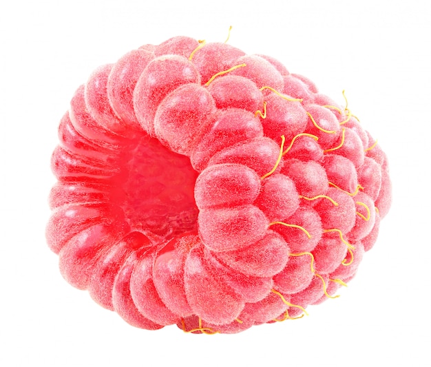 Raspberry one berry isolated