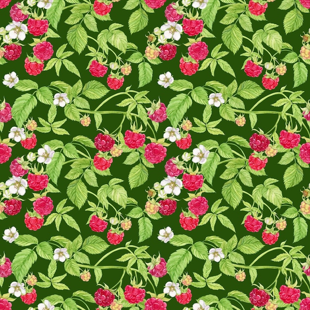 Raspberry takken op een groene achtergrond Waterverf naadloze achtergrond met zomer rode bessen Illustratie voor lente omslag zomer textiel bruiloftsuitnodiging Rode bessen bloemen bladeren