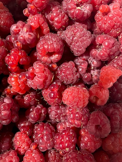 Raspberry The texture of fresh raspberries on a bright background