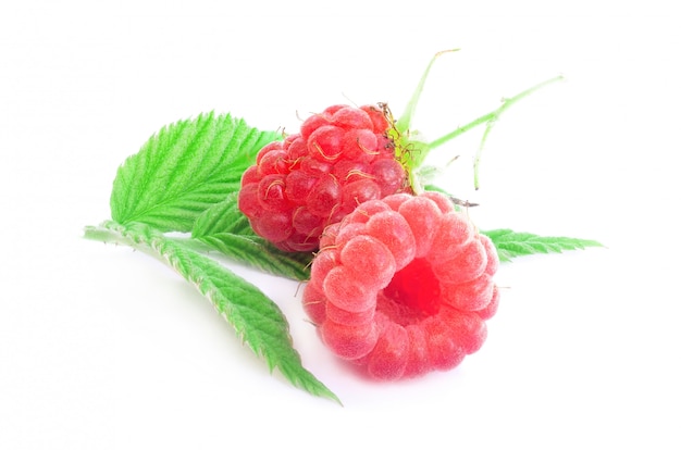 Photo raspberry on white background