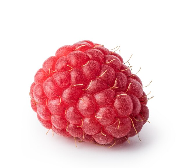 Premium Photo | Raspberry