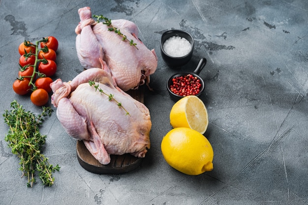 Rauw biologisch ongekookt geheel kippenvlees met kruiden en ingrediënten