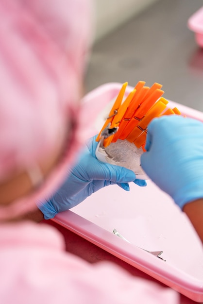 Foto rauwe eetbare vogelnestmaterialen voor traditionele chinese geneeskunde