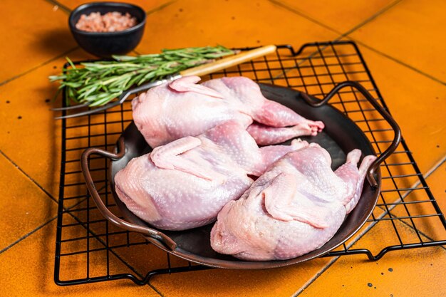 Rauwe hele kwartels klaar om te koken Oranje achtergrond Bovenaanzicht