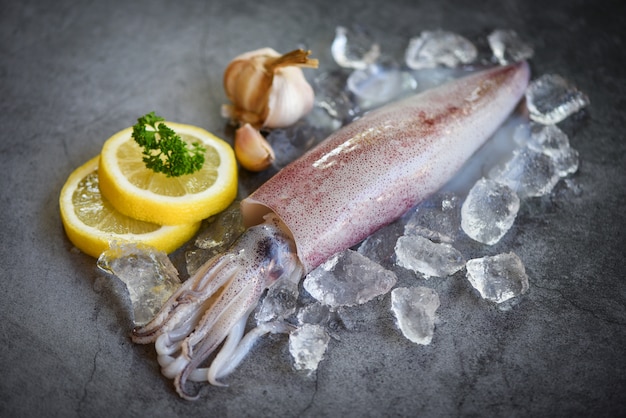 Rauwe inktvis op ijs met salade specerijen citroen knoflook op de donkere plaat achtergrond - verse inktvis octopus of inktvis voor gekookt voedsel in restaurant of zeevruchten markt