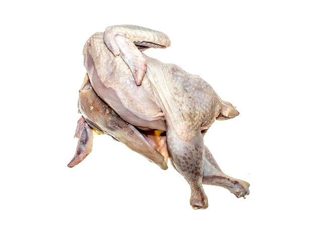 Foto rauwe kip geïsoleerd op witte achtergrond