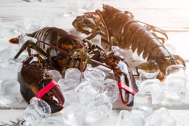 Rauwe kreeften op ijsblokjes. Verse kreeften met gebonden klauwen. Lekkernijen in visrestaurant. Hoofdingrediënt voor speciaal gerecht.