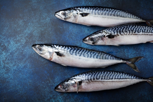 Rauwe makreelvis met ingrediënten voor het koken op een blauwe concrete of steenachtergrond.