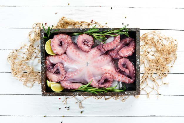 Rauwe octopus in een doos met ijs Vrije ruimte voor uw tekst plat leggen