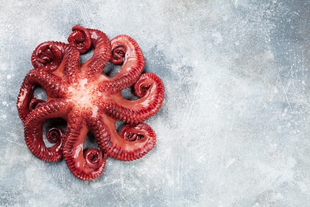 Rauwe octopus koken