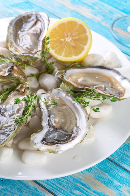 Rauwe oesters met citroen en ijs