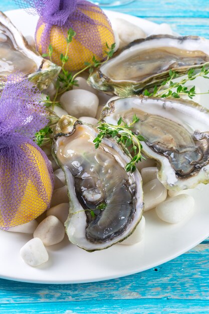 Rauwe oesters met citroen en ijs