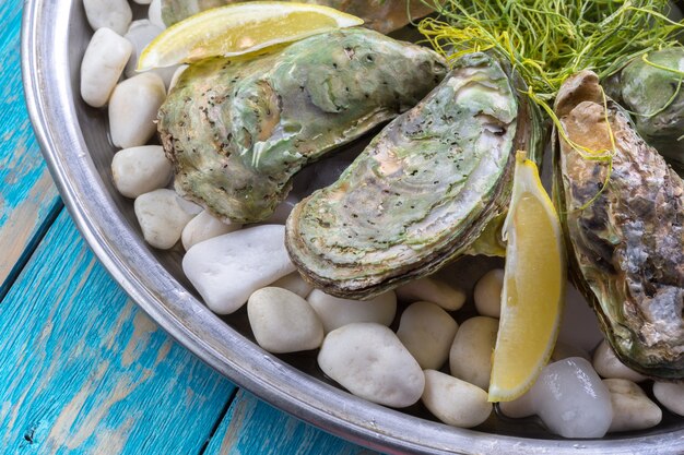 Rauwe oesters met citroen en ijs