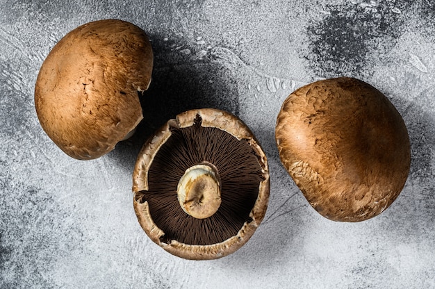 Rauwe Portobello-champignons. Farm biologisch voedsel. Bovenaanzicht