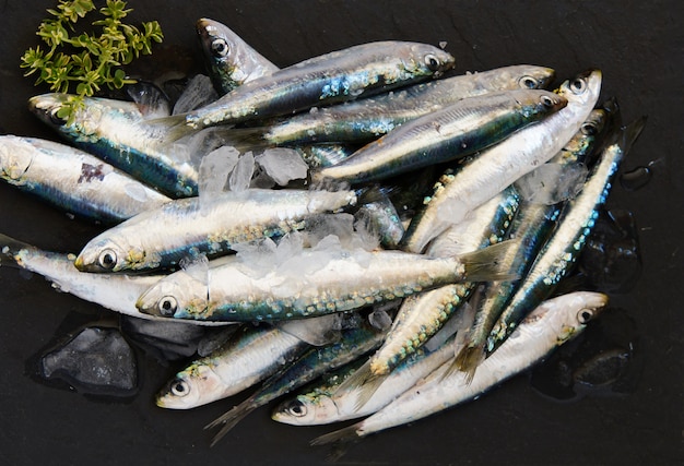 Rauwe Sardines