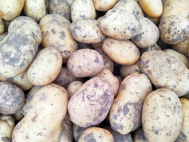 Rauwe witte aardappelen achtergrond Voedsel achtergrond