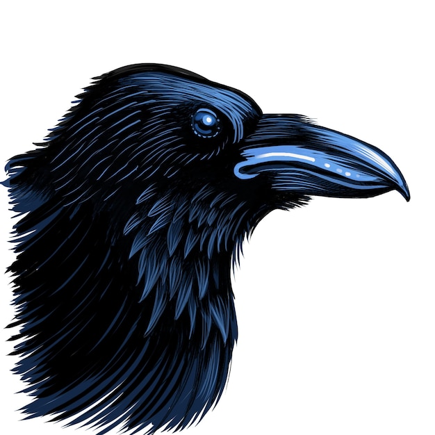 Raven hoofd met de hand getekend op tablet