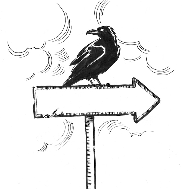 Photo raven sitting on arrow sign. ink black and white drawing