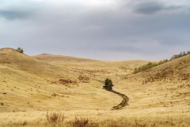 Un burrone in una conca tra le colline. russia, regione di orenburg