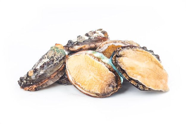 Raw abalones on the white background