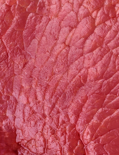 Photo raw beef eye steak round with salt spices and herbs