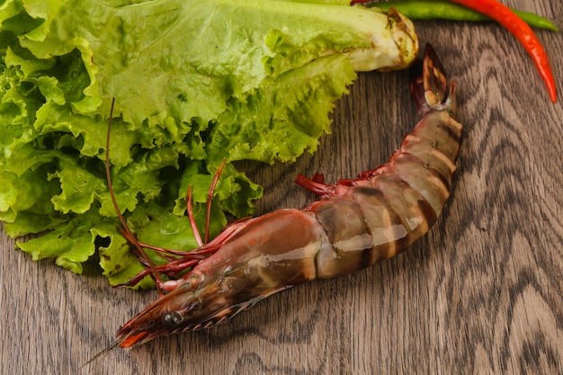 Raw big tiger prawn