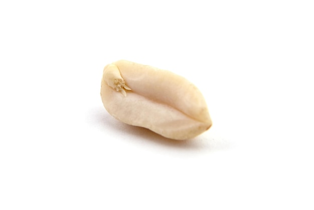 Сырой бланшированный арахис, изолированные на белом фоне макроса