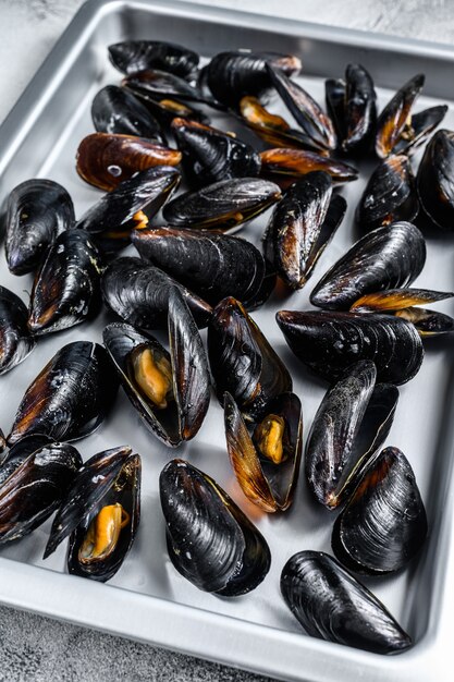 Raw blue mussels shells in kitchen steel tray. White background. Top view.