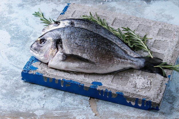 Raw bream fish with herbs